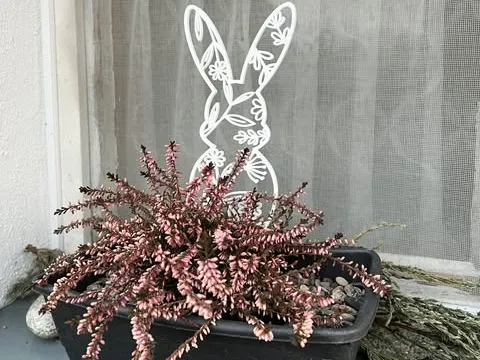 https://makerworld.bblmw.com/makerworld/model/USe01f3b92c700a9/design/2025-03-28_b113f9e6132e7.jpg