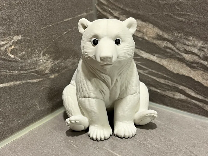 Polar Bear