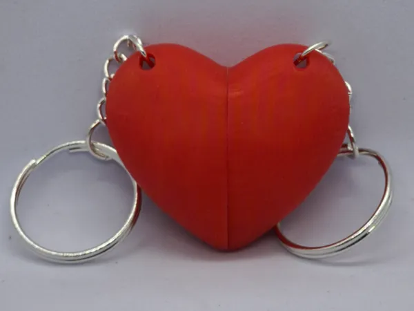 https://makerworld.bblmw.com/makerworld/model/USe0286028a7c72e/design/8d61db51c6895dbd.jpg