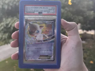PSA POKEMON SLAB CASE/GUARD