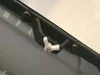 0.2mm layer, 4 walls, 50% infill