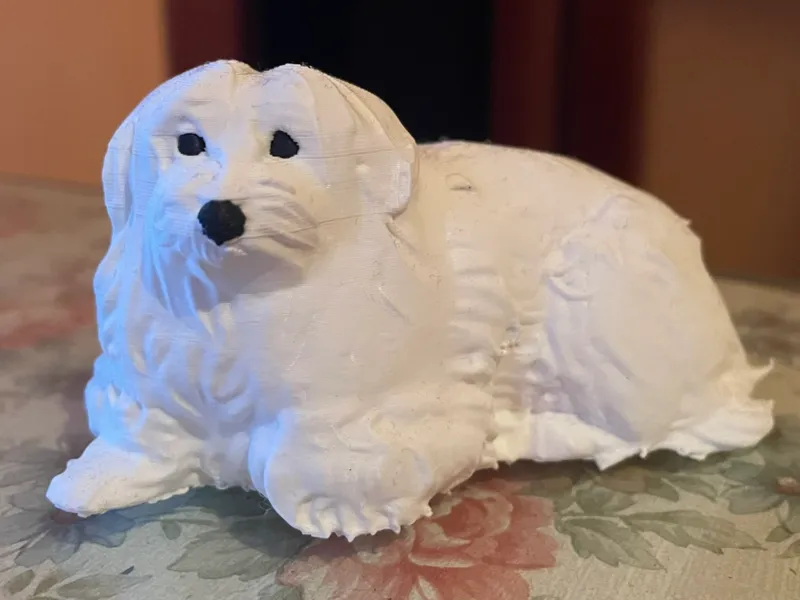 modello di cane bichon havanese