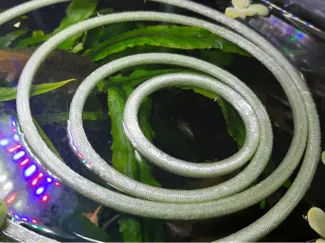 Fish tank floating rings