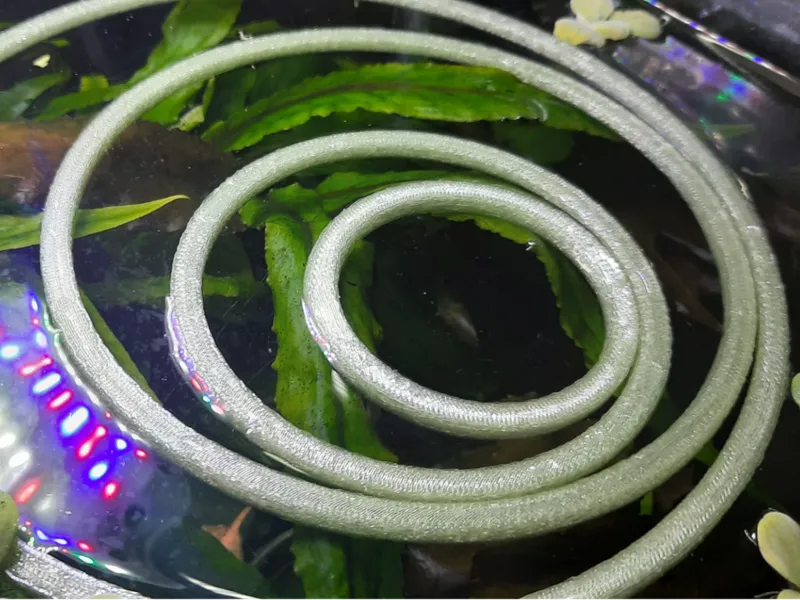 Fish tank floating rings
