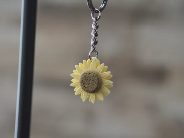 https://makerworld.bblmw.com/makerworld/model/USe041b5820262e6/design/2025-04-21_1b0b73a24a11.jpg