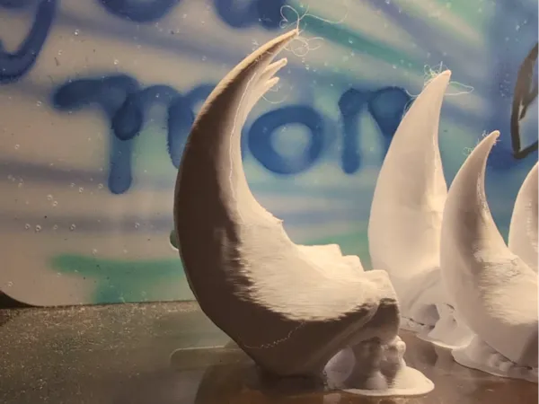 https://makerworld.bblmw.com/makerworld/model/USe0429c9f3f393e/design/2025-05-26_373e212209676.jpg