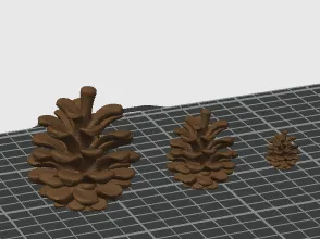 Pinecones, small, medium and large