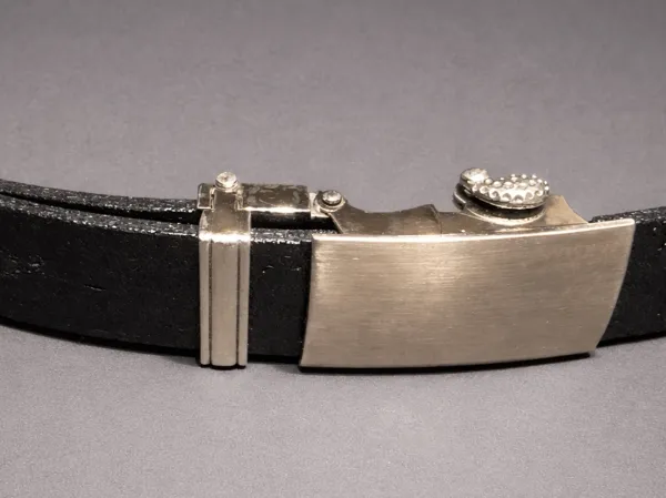 https://makerworld.bblmw.com/makerworld/model/USe04c41cbaf8993/design/f0ccf1291168922e.png