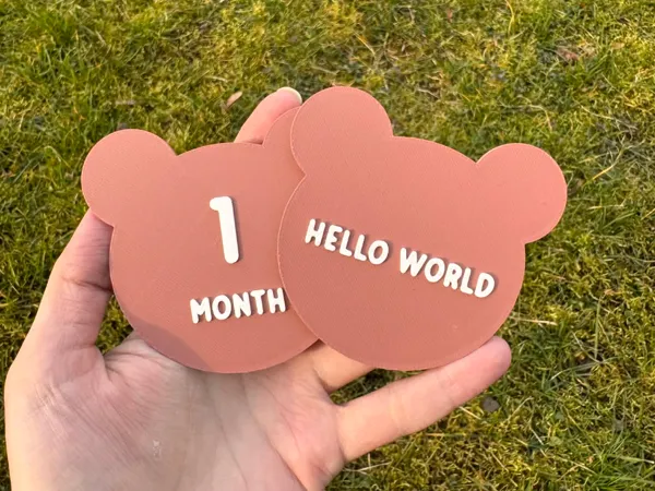 https://makerworld.bblmw.com/makerworld/model/USe050742585f881/design/ac2f2c8872433cb8.jpg