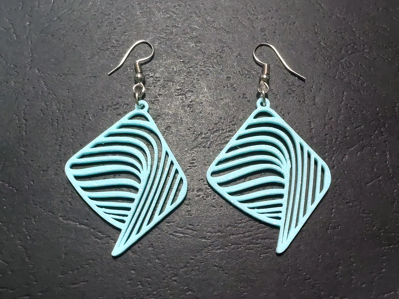 Echo in Form Earrings view 3
