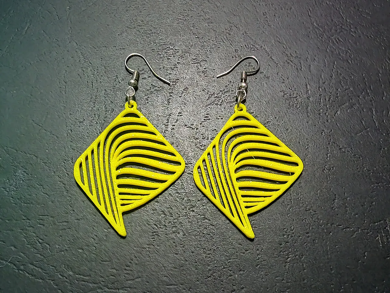 Echo in Form Earrings view 2