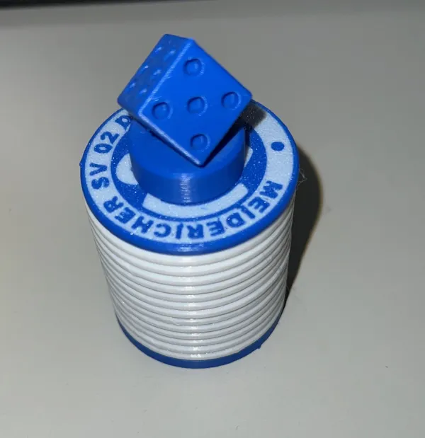 https://makerworld.bblmw.com/makerworld/model/USe05bc0d2489131/design/2023-12-23_b09a17c1990a08.jpg