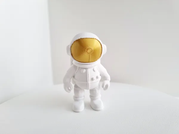 https://makerworld.bblmw.com/makerworld/model/USe05fb84063f1c2/design/2025-03-12_8a57b56c554f8.jpg