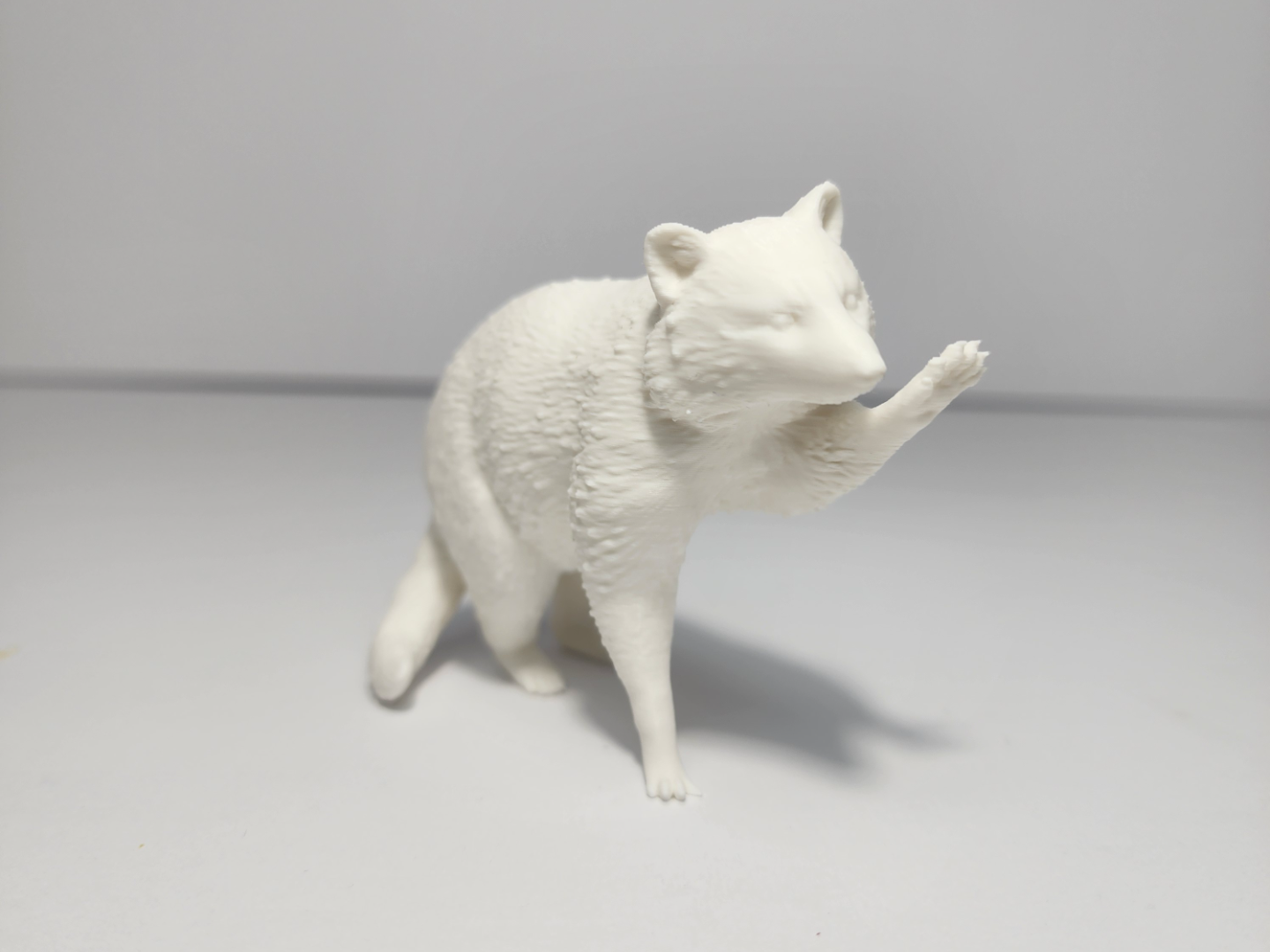 Realistic Racoon