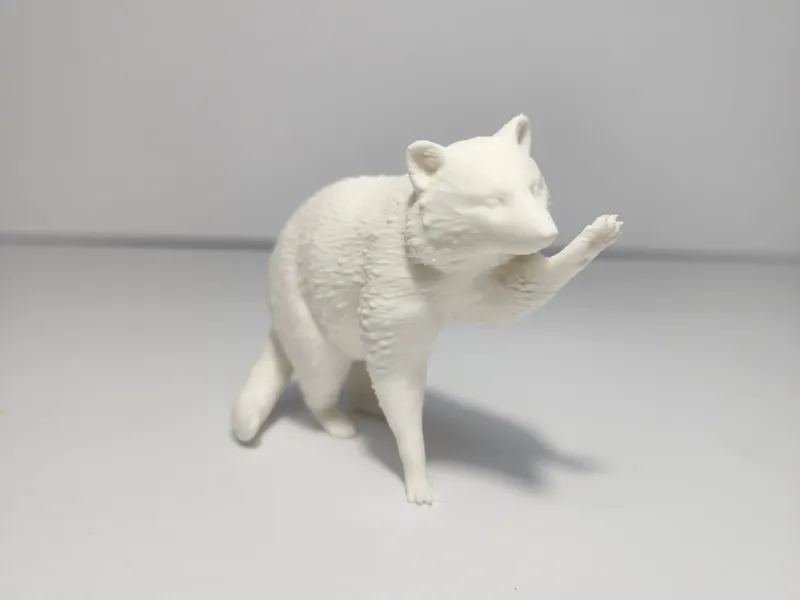 Realistic Racoon