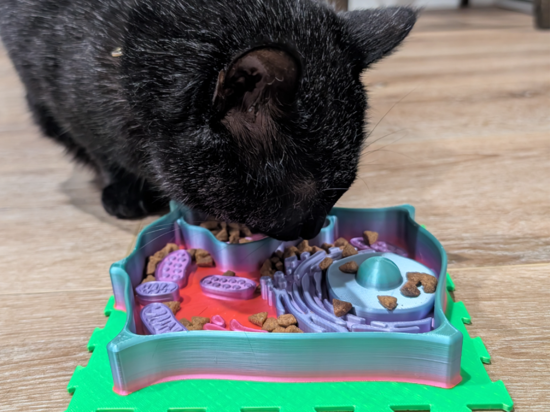 Curious Paws- Plant Cell Slow Feeder
