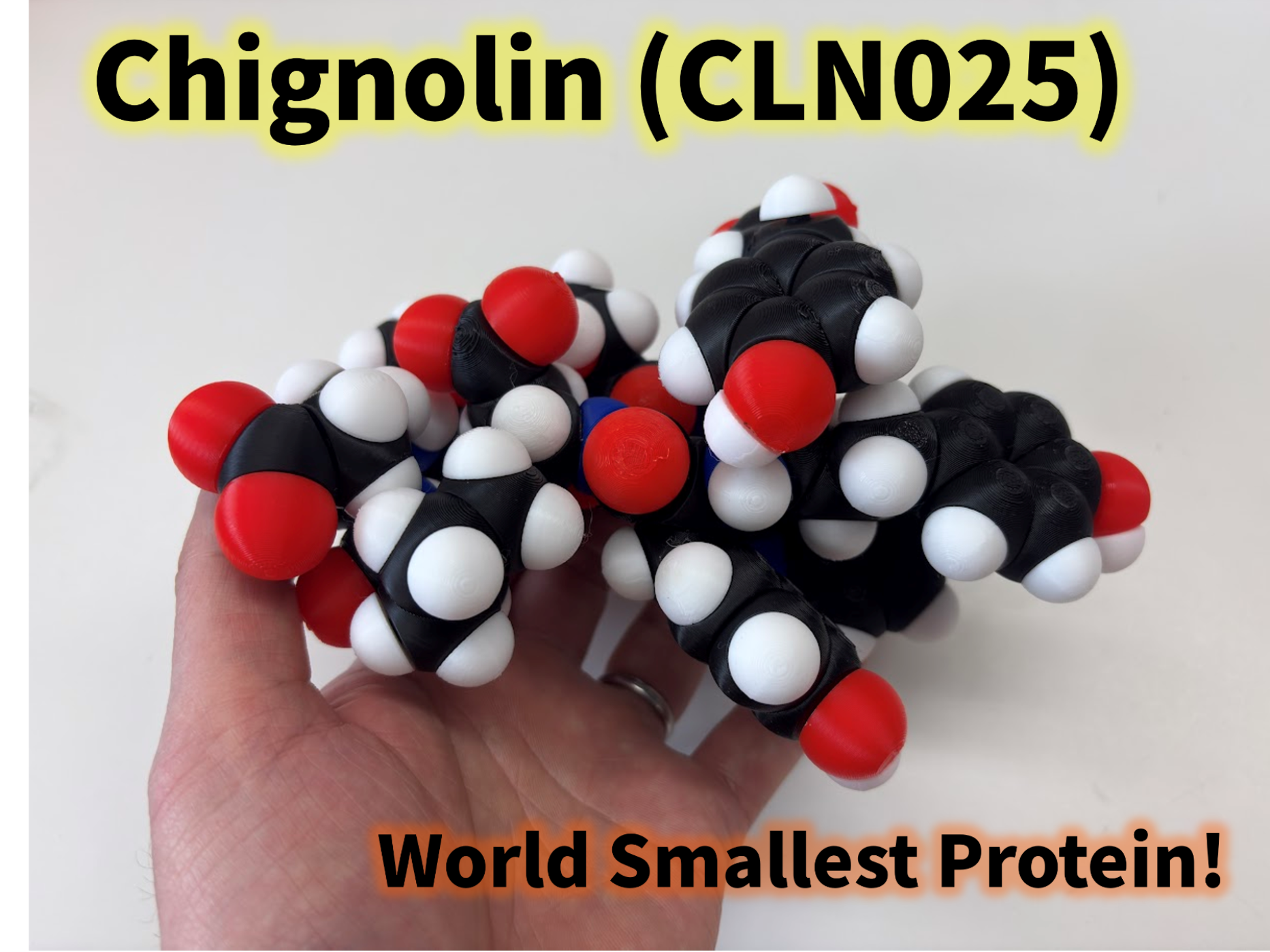 Molfidget of Chignolin, the world smallest protein