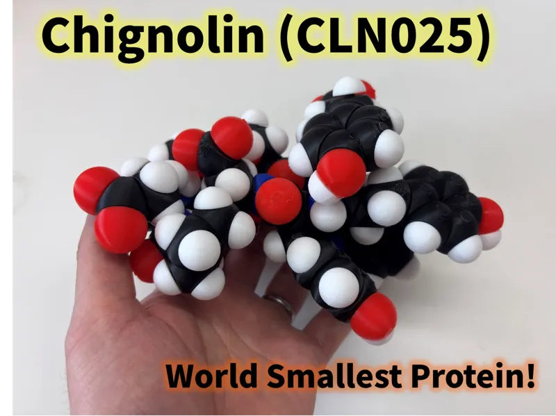 Molfidget of Chignolin, the world smallest protein