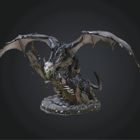Young Black Dragon
