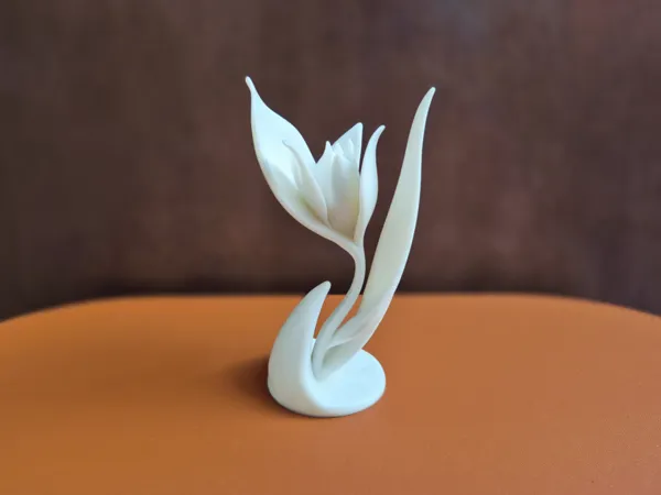 https://makerworld.bblmw.com/makerworld/model/USe073369dd50307/design/2025-12-25_dd48205efea4c8.jpg