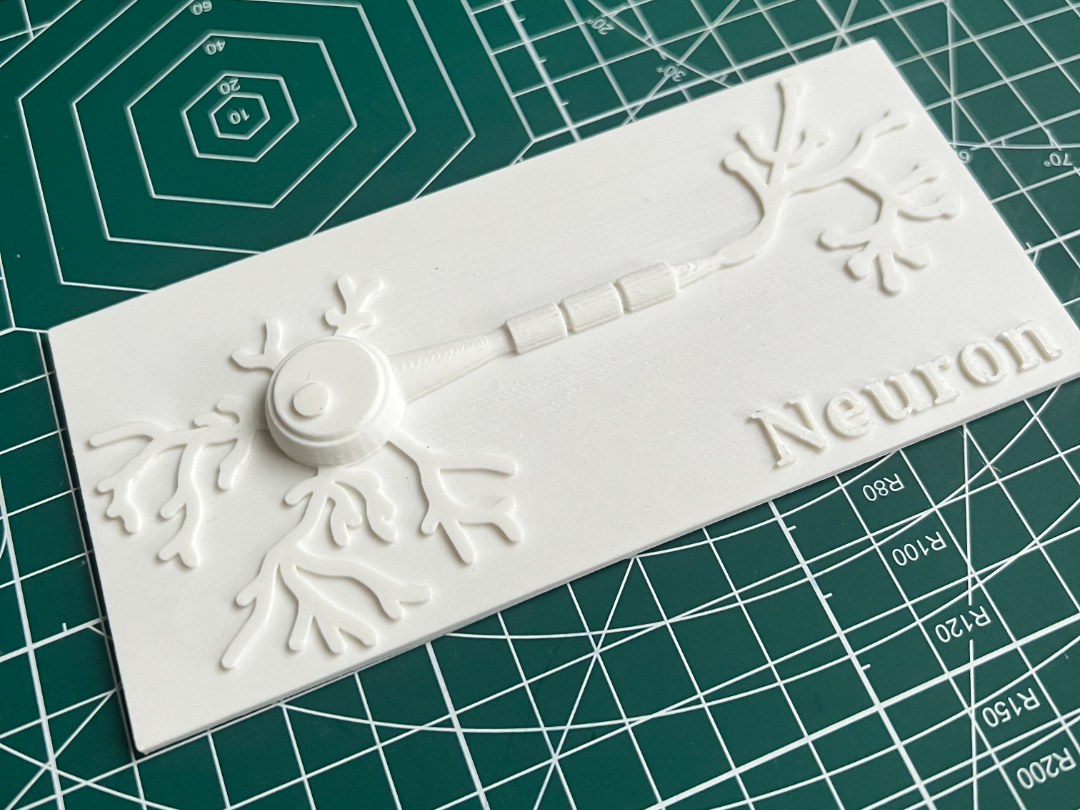 Neuron