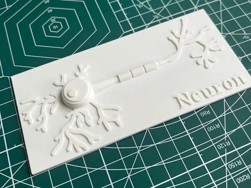 Neuron