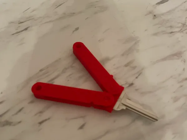 https://makerworld.bblmw.com/makerworld/model/USe077233736072b/design/2024-10-06_abcb1bf7a9473.jpg