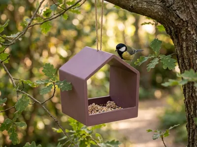 Birdhouse, bird feeder, feeding station