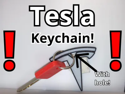 Tesla Keychain !Only 2 grams!
