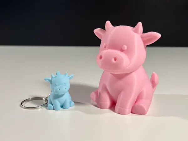 https://makerworld.bblmw.com/makerworld/model/USe07c71717f2a6f/design/2025-08-03_c0e7cda4aba18.jpg