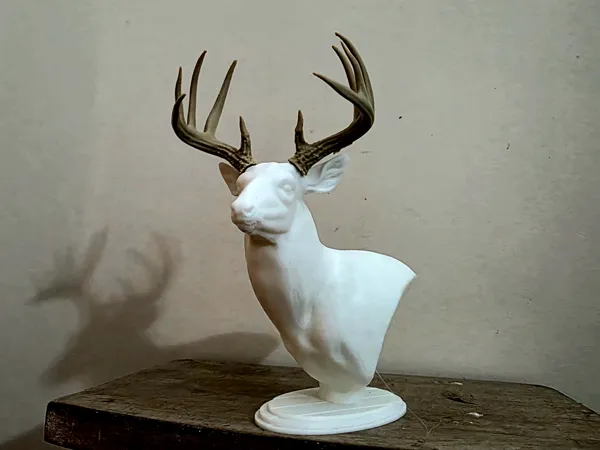 https://makerworld.bblmw.com/makerworld/model/USe07ea49ac56897/design/2026-01-10_700d9c8b39e728.jpg