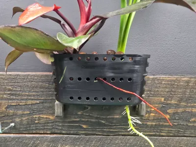 Planter For Rimless Fishtank
