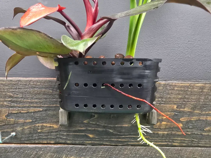 Planter For Rimless Fishtank