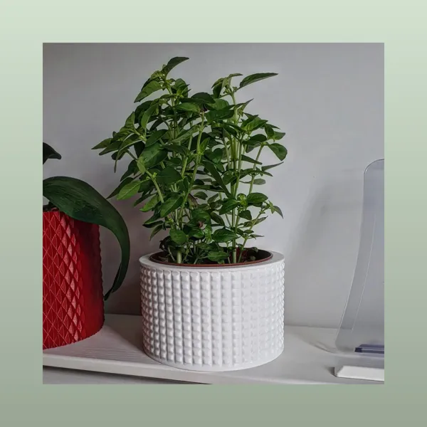 https://makerworld.bblmw.com/makerworld/model/USe08032cc658b98/design/2023-10-11_8gkin249r11a.jpg