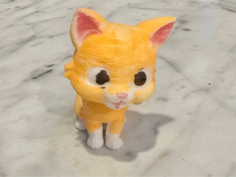 Cute cat