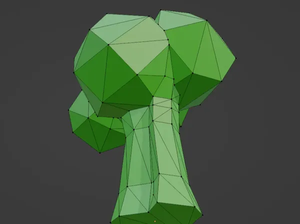 Brocoli géant - Animal Company