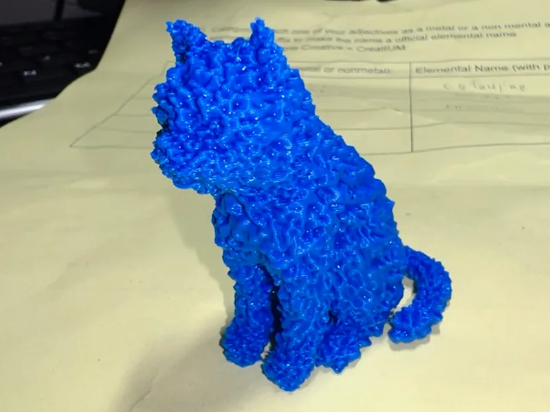 Hairy sitting cat
