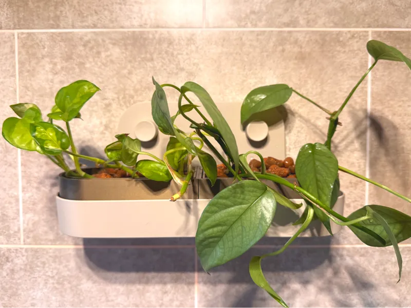 Semi Hydro Leca Air Pot for IKEA ÖBONÄS