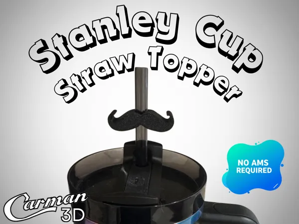 https://makerworld.bblmw.com/makerworld/model/USe08f8dacafb1f0/design/2025-05-03_100cae9a2e6e78.png