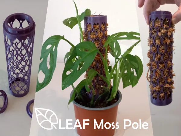 https://makerworld.bblmw.com/makerworld/model/USe091c2ad8aaabc/design/2024-03-10_dd9f257b6a66.png