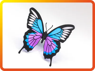 Elegant Butterfly