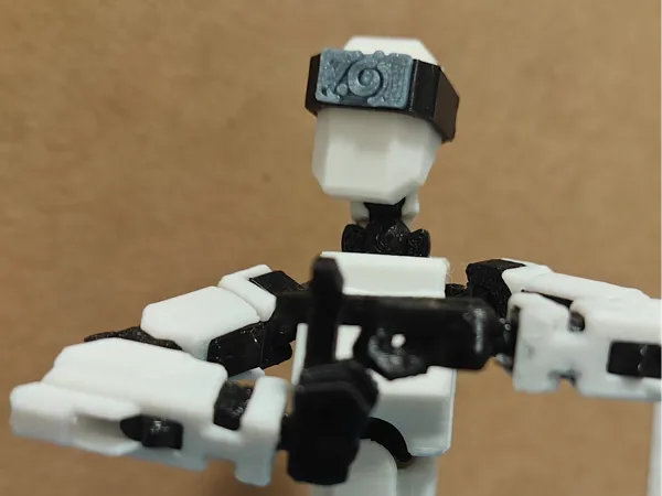 https://makerworld.bblmw.com/makerworld/model/USe094a7fd04cefe/design/2024-11-14_afc69bb55a65e8.png