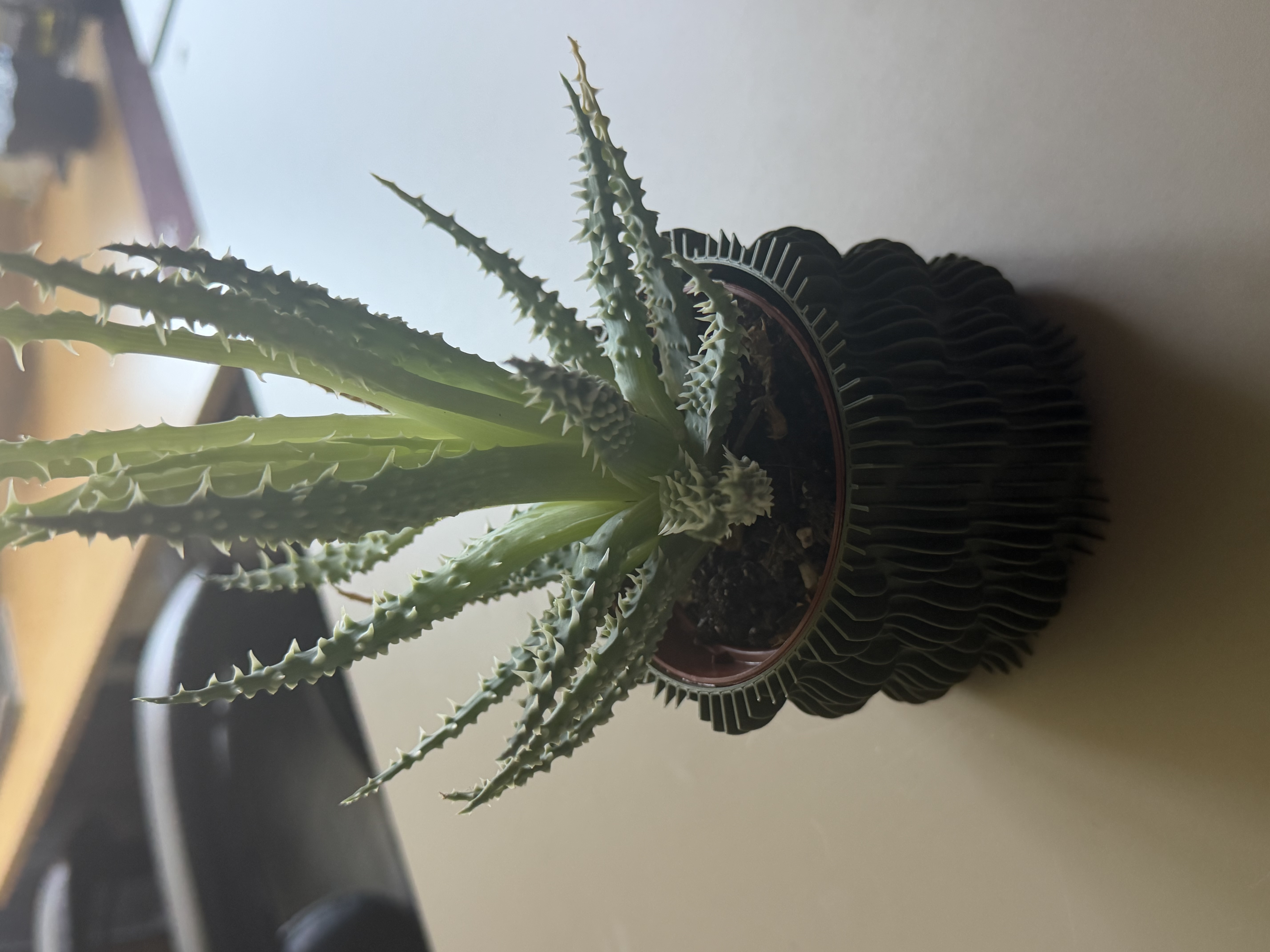 Foto 4