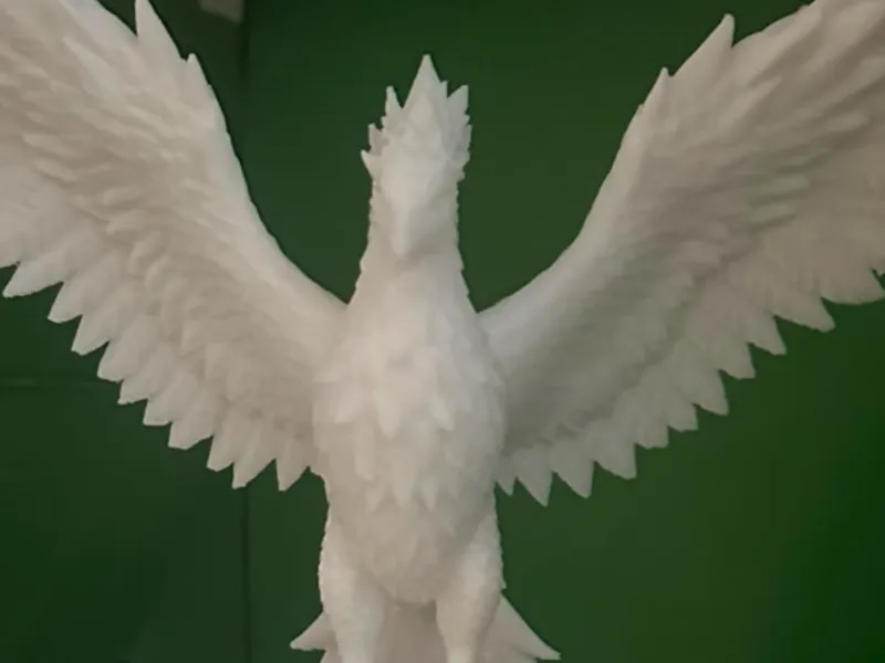 Bird On Fire 