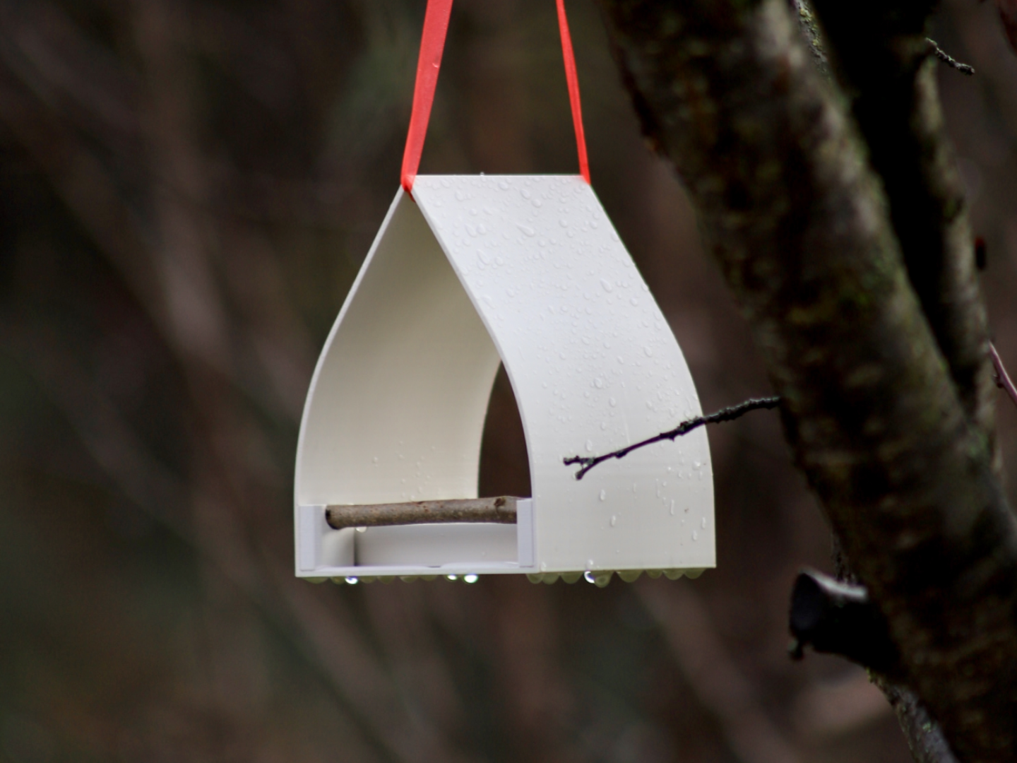 Bird Feeder, Hanging Feeder for Garden & Backyard