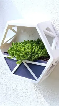 indoor version with no space for lights. Large and small