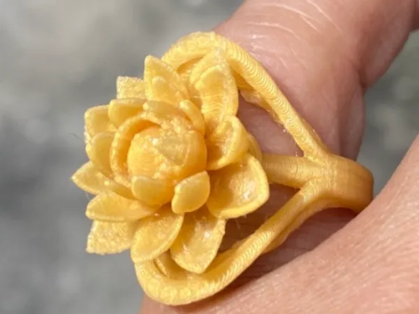 https://makerworld.bblmw.com/makerworld/model/USe0a0ce91bfad04/design/2025-07-04_4f52fb3f45d3c8.jpg
