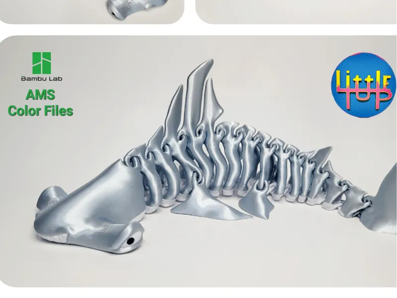 Hammerhead Shark Bones 3Dmodel by LittleTup 