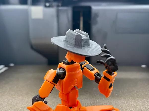 https://makerworld.bblmw.com/makerworld/model/USe0a63c4c4a3c62/design/2025-03-13_a986ae1d9b72e8.jpg