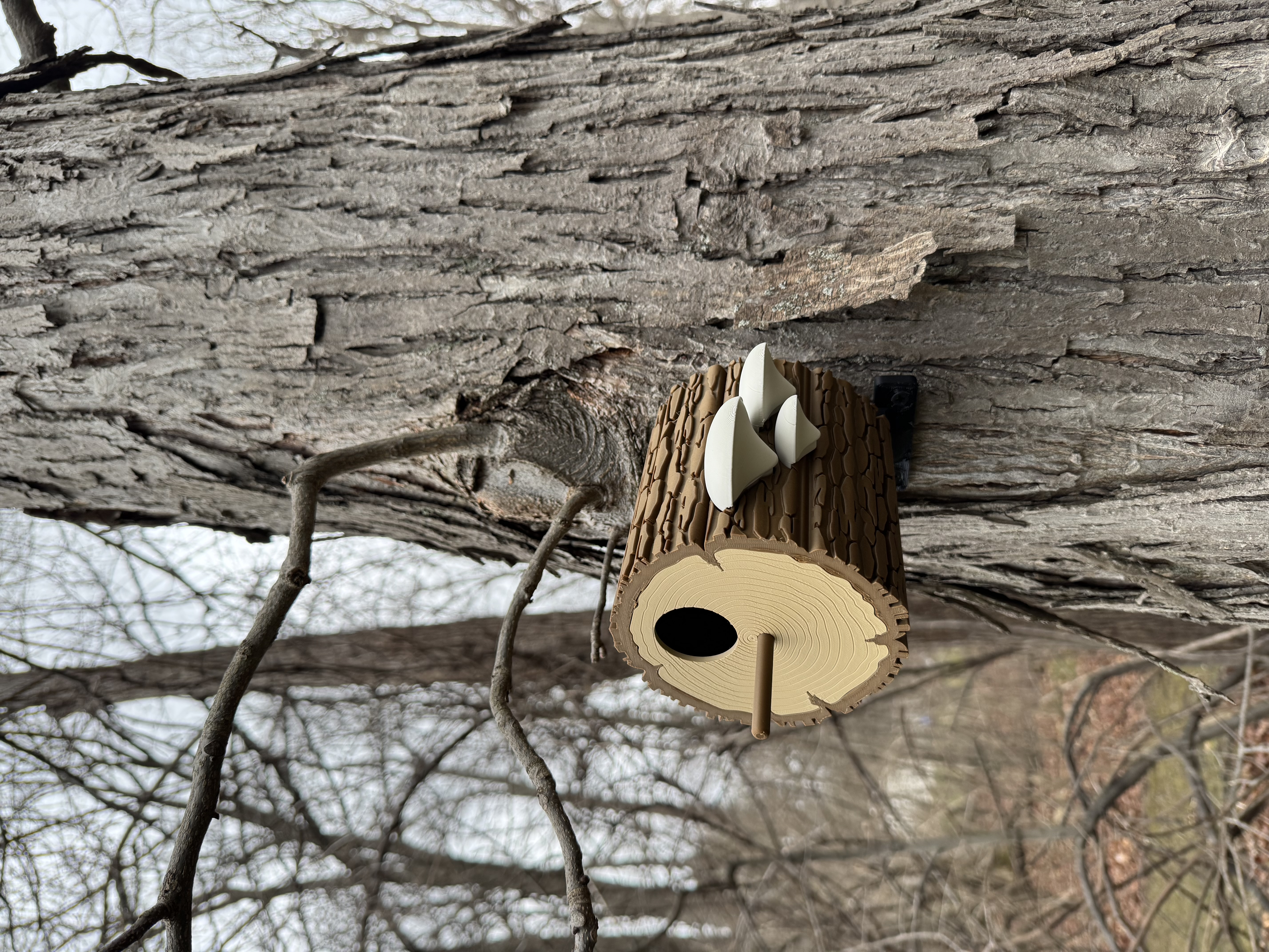Miniatura 2 do modelo 3D Log Birdhouse (Multipart) 